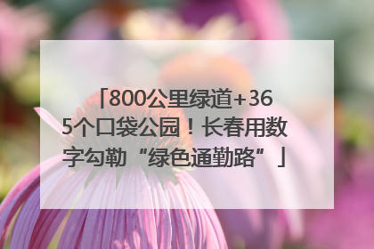 800公里绿道+365个口袋公园！长春用数字勾勒“绿色通勤路”